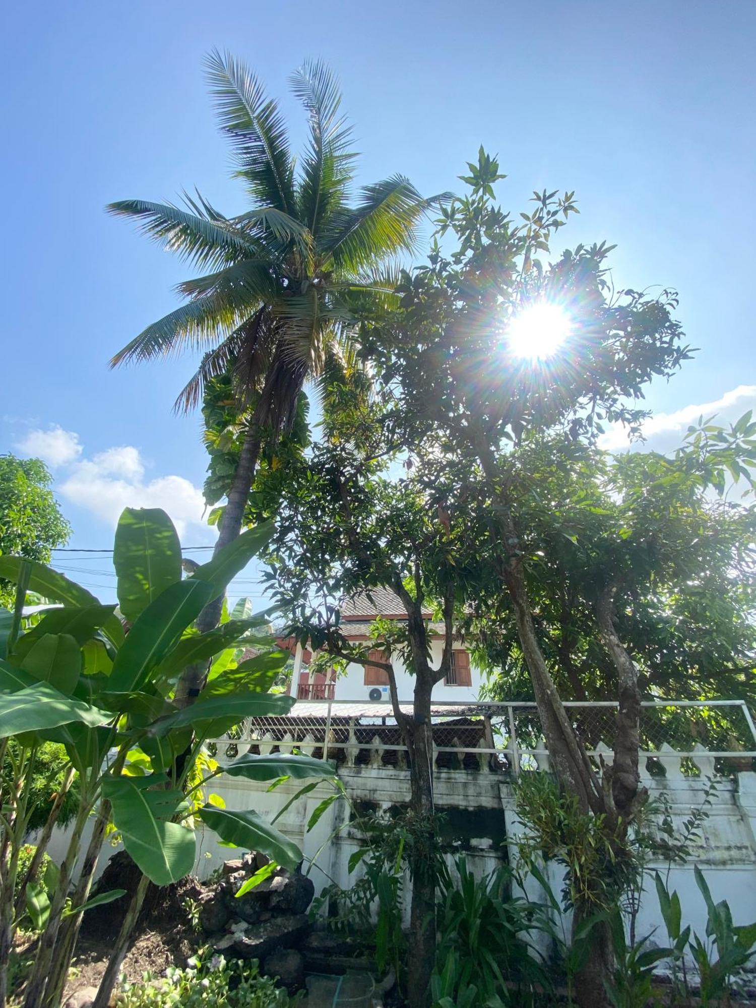 Luang Prabang Residence & Travel Εξωτερικό φωτογραφία
