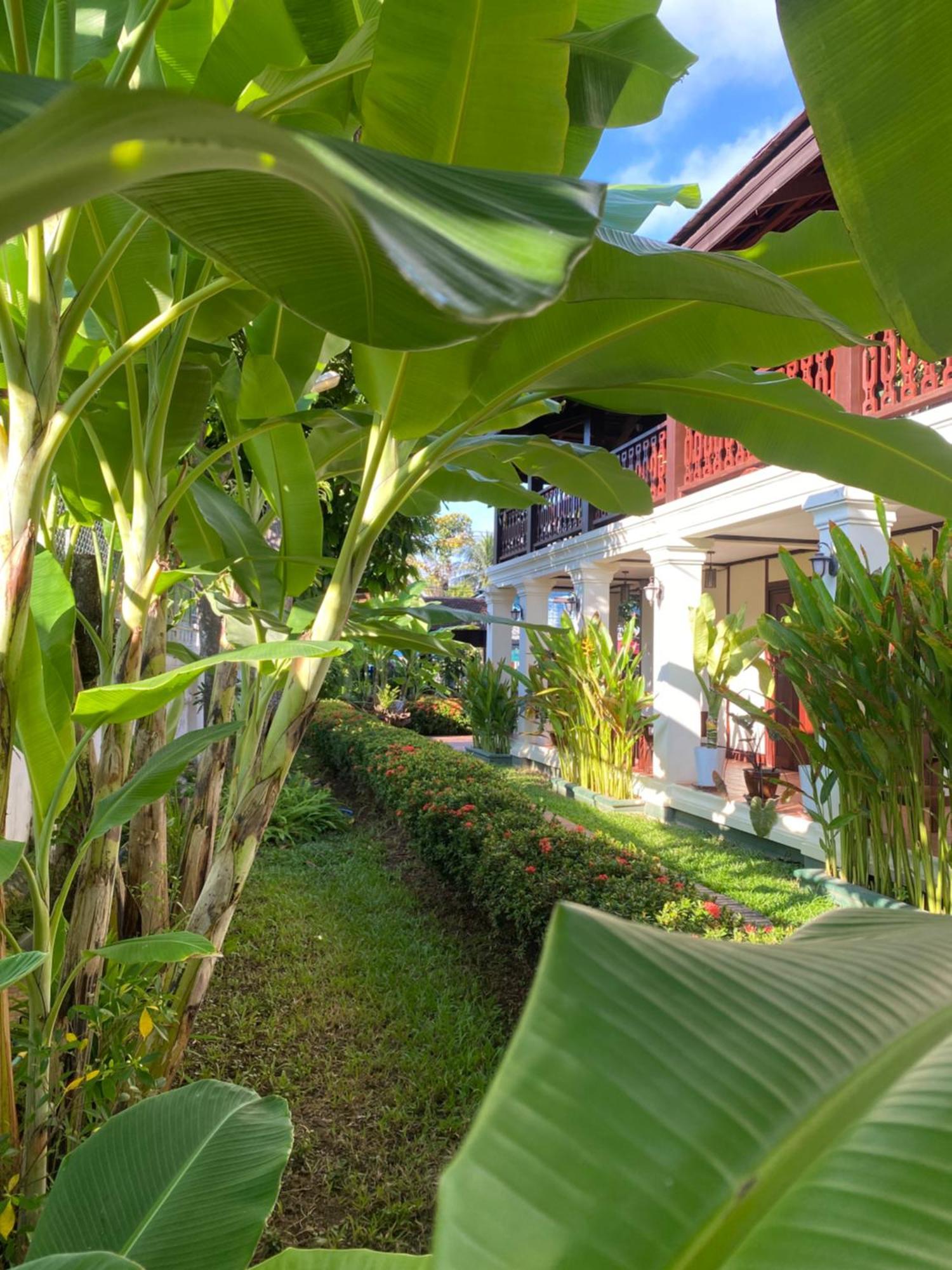 Luang Prabang Residence & Travel Εξωτερικό φωτογραφία