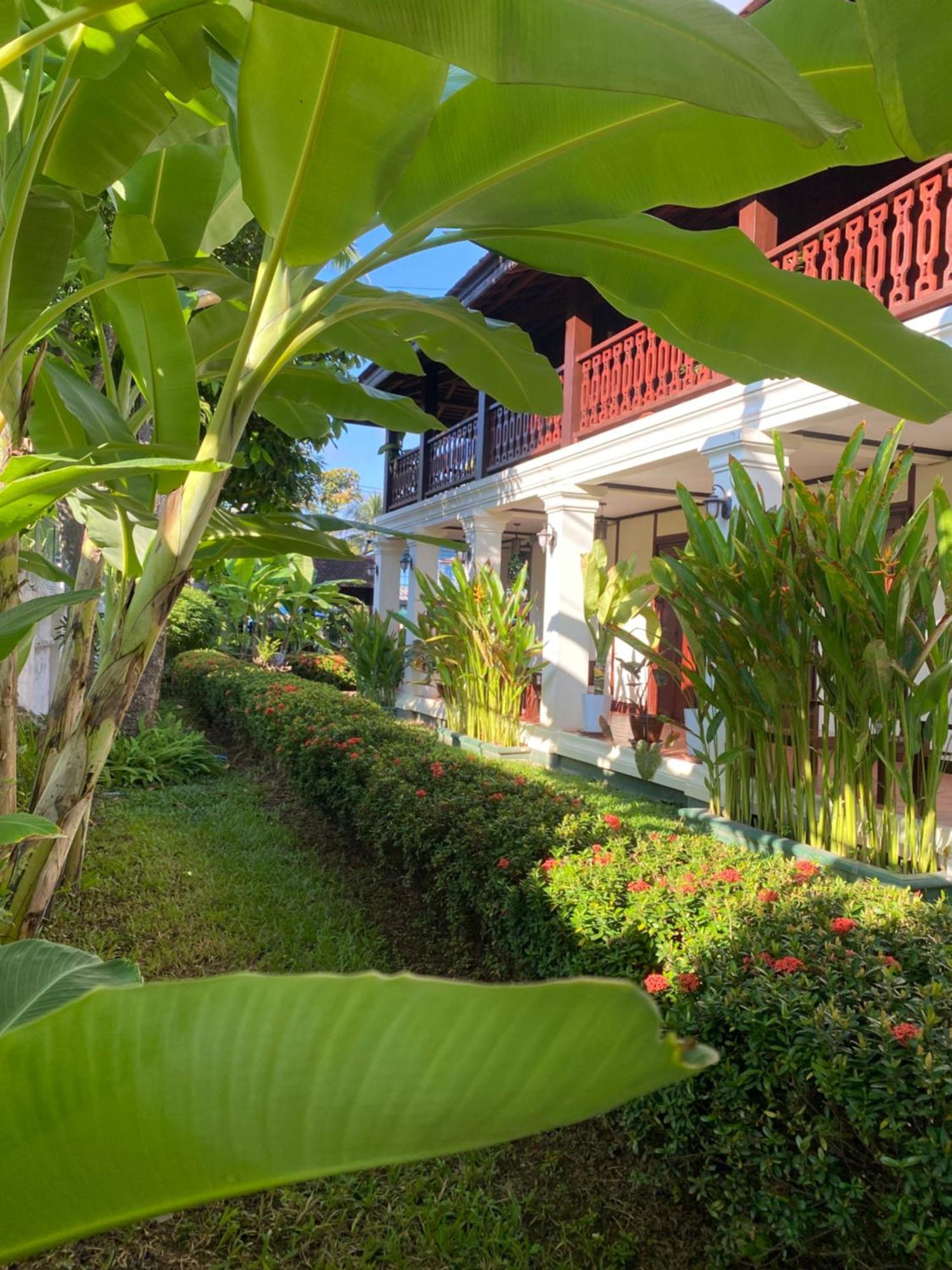 Luang Prabang Residence & Travel Εξωτερικό φωτογραφία