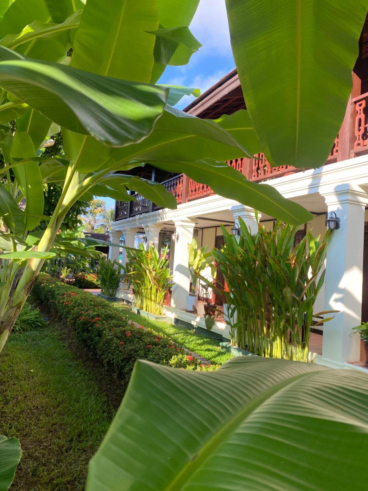 Luang Prabang Residence & Travel Εξωτερικό φωτογραφία